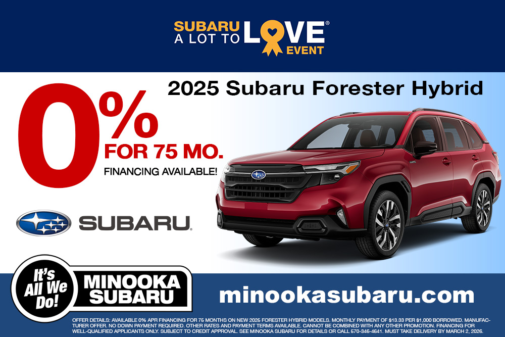 Subaru Dealer Digital Advertising